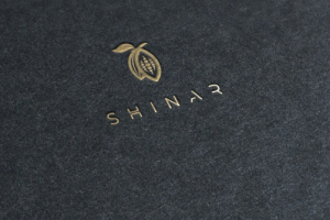 Разработка логотипа