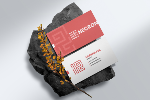 Разработка визитки