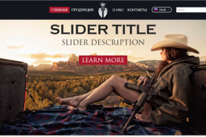 Разработка сайта каталога по продаже оружия