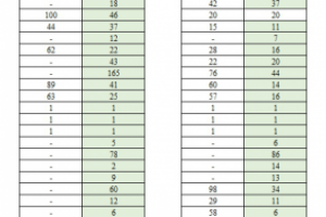 Результат SEO-работ за 4 недели