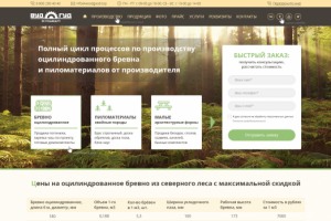 Разработка сайта