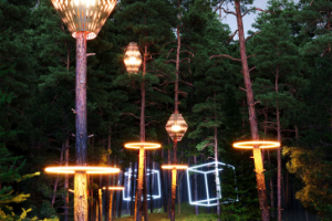 Сказочный лес