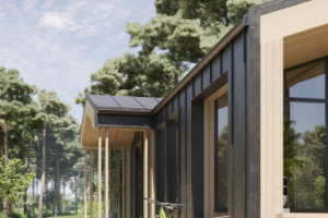 Визуализация барнхауса