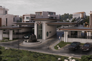 Виз элитного поселка