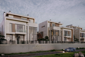 Виз элитного поселка