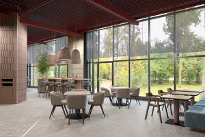 Виз фудкорта отеля в Перми