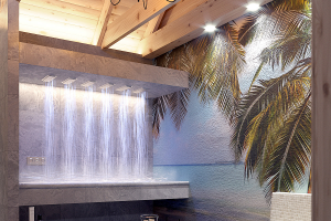 Виз интерьера сауны с бассейном и горизонтальным душем