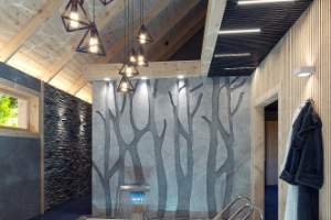 Виз интерьера сауны с бассейном и горизонтальным душем