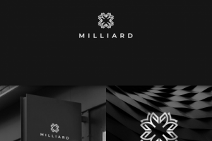 Разработка логотипа для компании по недвижимости