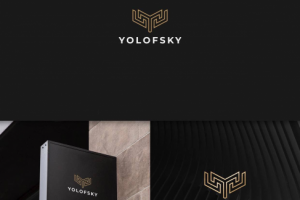 Разработка логотипа для компании консультантов