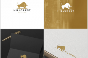 Разработка логотипа для налоговой фирмы