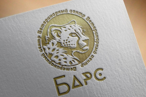 Разработка логотипа для компании БАРС