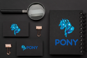 Разработка логотипа для компании Пони