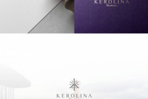 Разработка логотипа для поставщика туристических услуг