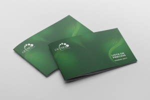 Разработка каталога для компании ГЕЙЗЕР