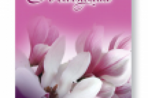 Логотип + визуализация