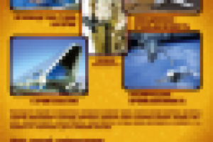 Стенд 0,9х2,1 м