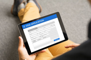 Электронная виза в Россию