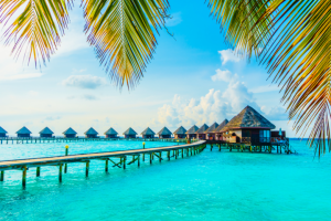 Сафари-тур на Мальдивах