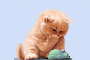 Котейка