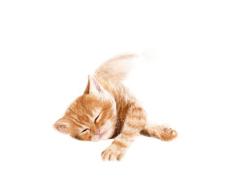 img4016892.png