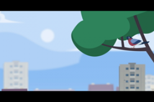 Круг Авроры