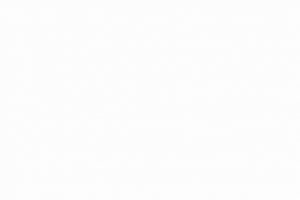 Рисованная анимация логотипа для благотворительного фонда