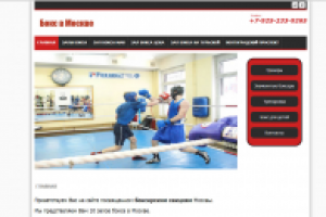 Бокс в Москве