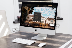 Аудит сайта загородного клуба Теплица Парк