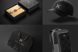 Дизайн носителей фирстиля для "Xenon"