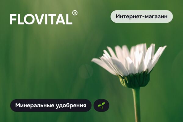 img3928617.png