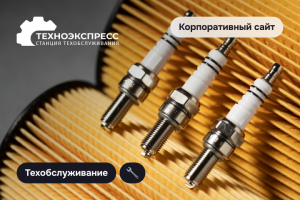 Техноэкспресс