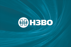 НЗВО (электротехника)