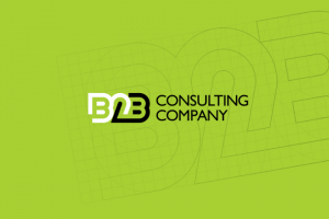 B2B Consulting Company