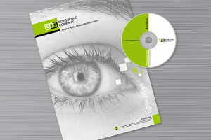 B2B Consulting Company (брендбук)