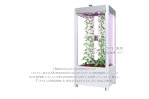 Работа 3475409
