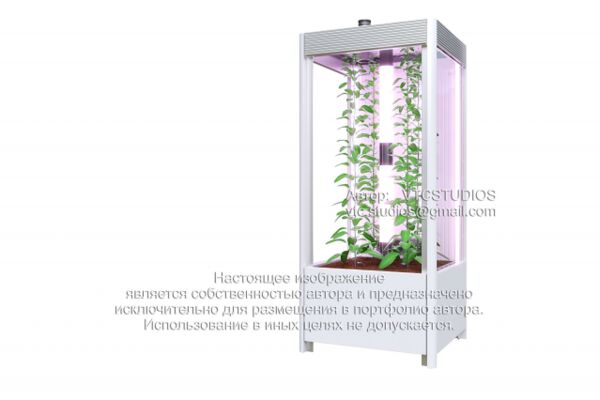 img3475409.png