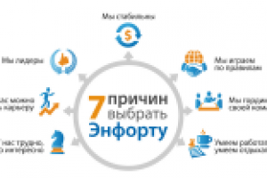 Инфографика "Энфорта"