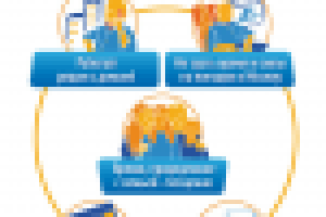 Инфографика "Энфорта"