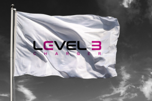 ЛОГОТИП ДЛЯ СТАНЦИИ ЗАРЯДКИ  США