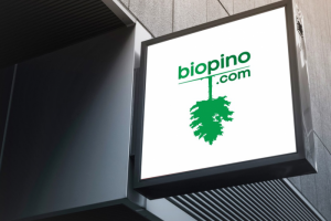 ДИЗАЙН ЛОГОТИПА ДЛЯ ИНОСТРАННОГО  ПОРТАЛА