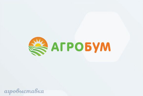 img3848417.png