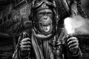 Сумасшедший пилот