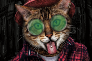 Кот-хипстер