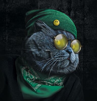 img4410334.png