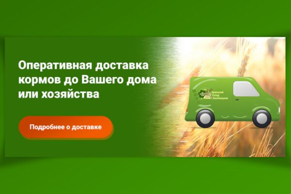 img3492572.png