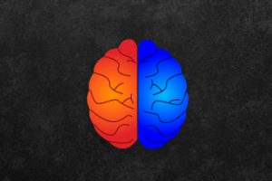 Работа 3398551