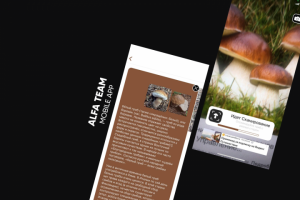 Грибной мир