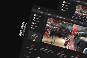 Интернет-магазин спортивных товаров Tiger Shop