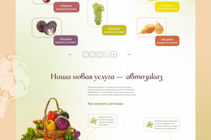 Интернет-магазин по продаже овощей и фруктов